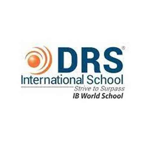dsr.png